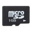 Micro SD Card